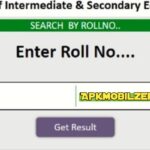 How to Check the 9th Class Result 2024 Announcement